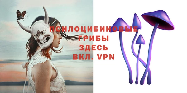 гидра Лихославль