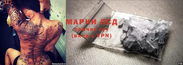 гидра Лихославль