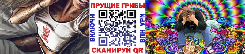 даркнет сайт  Мариинск  Галлюциногенные грибы MAGIC MUSHROOMS 